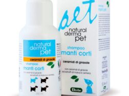 Dog Shampoo – For Short Hair with Sunflower Ceramides & Mallow