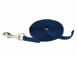 Dog Lead Coachi Blue 2,5 m Training