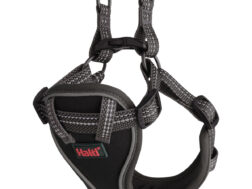 Dog Harness Company of Animals